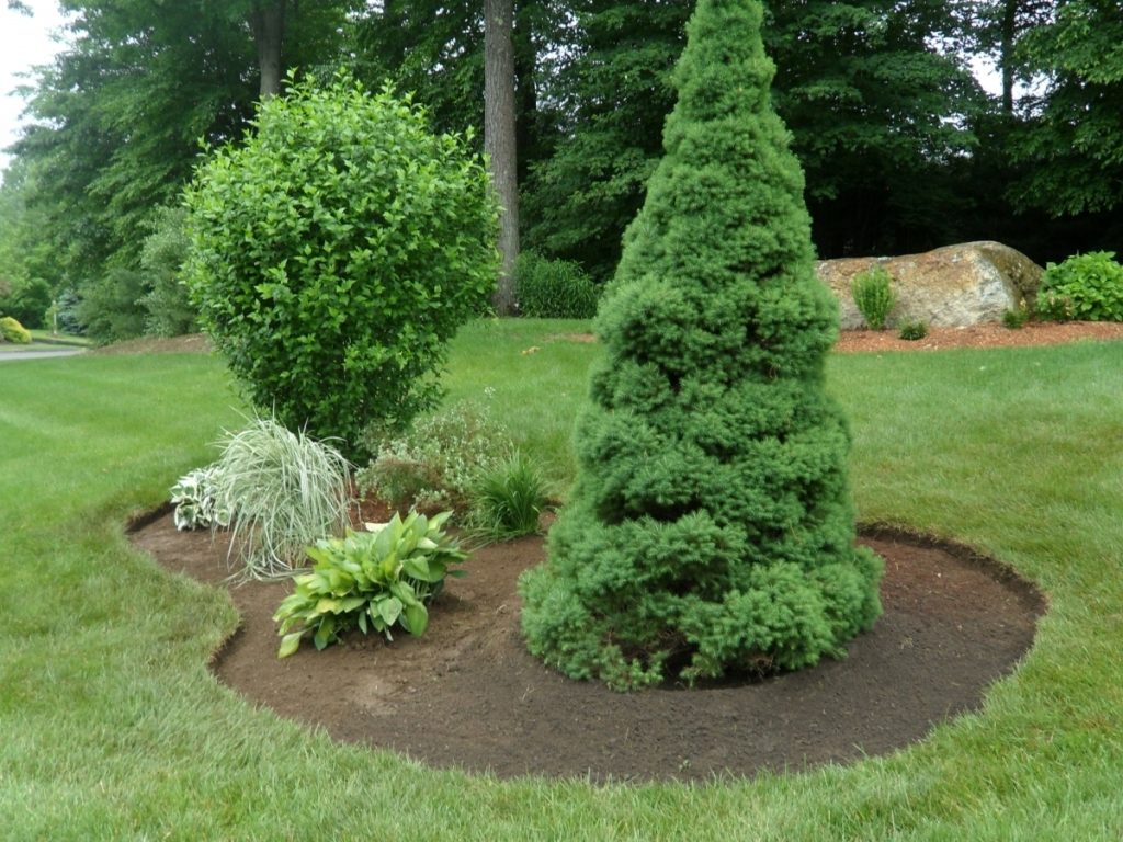 Commercial Landscaping