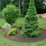 Commercial Landscaping